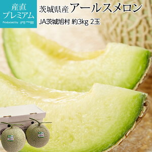  A[X 3kg 2 錧Y ߂  t[c ʕ  Mtg v[g j Yv~A