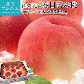 【マラソン限定最大P26倍】 桃 春日居の桃 特秀品 約5kg 12～16玉 山梨県産 産地直送【モモ もも 春日居のもも 山梨 お取り寄せ フルーツ 果物 ギフト 贈答 プレゼント 内祝い 出産祝い】【産直プレミアム】