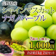 【エントリ—＆条件達成でP最大10倍】【2箱以上ご購入で1,000円OFF】ぶどう シャインマスカット ナガノパ…