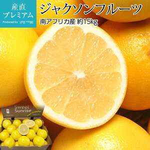 O[vt[c WN\t[c 15kg 48`56 AtJY [Ղӂ[ zCg k  t[c ʕ Mtg  v[g j Yv~A