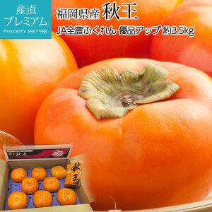 y}\XSiP2{z ` H Gi 3.5kg 8`14 IWii Y  JL t[c ʕ Mtg  v[g j oYj Yv~A