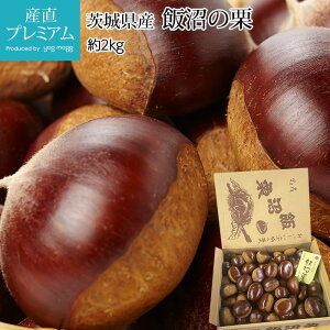 I я̌I 2kg 嗱 錧Y  N яI  ʕ Mtg  v[g j Yv~A