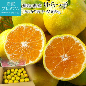 yGg?Ń|Cg10{z ݂ 瑁݂ q 5kg S`MTCY a̎RY  ~J  t[c ʕ Mtg  v[g j TCY Yv~A