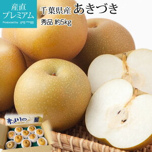 y9/4 20:00`P2{ő600~OFFN[|z  Â Gi 5kg 10`16 tY Ȃ iV ALdL H  t[c ʕ Mtg  v[g j oYj Yv~A