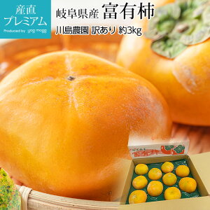 【10/24 20:00〜P2倍】 柿 富有柿 訳あり 約3kg 8〜12玉 岐阜県産 産地直送 かき カキ すなみ すなみ柿 フルーツ 果物 家庭用 産直プレミアム