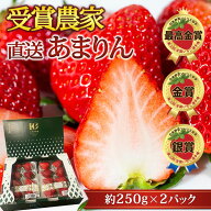 いちご あまりん 2パック 埼玉県産 産地直送 イチゴ 苺 アマリン ストロベリー お取り寄せ フルーツ 果物…