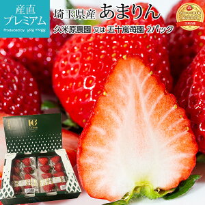 yGg?Ń|Cg10{z  ܂ 2pbN ʌY Yn C`S  A} Xgx[  t[c ʕ Mtg  v[g j Yv~A