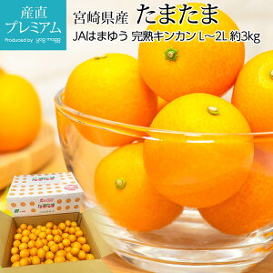 yGg?Ń|Cg10{z ܂ n񂩂 3kg L`2LTCY {茧Y {茧F Yn  LJ  k  t[c ʕ Mtg  v[g j 