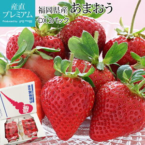  ܂ DX 2pbN Y C`S  Xgx[  t[c ʕ Mtg  v[g j ̂ Yv~A