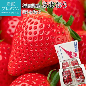  ܂ DX 4pbN Y C`S  Xgx[  t[c ʕ Mtg  v[g j ̂ Yv~A