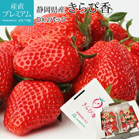 【マラソン限定エントリーでP10倍】 いちご きらぴ香 DX 2パック 静岡県産 イチゴ 苺 きらぴか キラピカ ストロベリー お取り寄せ フルーツ 果物 ギフト 贈答 プレゼント 内祝い のし 産直プレミアム