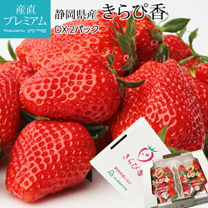 yGg?Ń|Cg10{z  ҍ DX 2pbN ÉY C`S  ҂ LsJ Xgx[  t[c ʕ Mtg  v[g j ̂ Yv~A