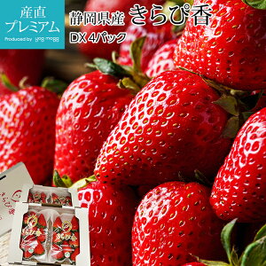 yGg?Ń|Cg10{z  ҍ DX 4pbN ÉY C`S  ҂ LsJ Xgx[  t[c ʕ Mtg  v[g j ̂ Yv~A