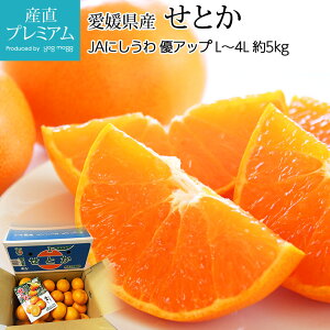 yGg?Ń|Cg10{z ݂ Ƃ DAbv 5kg L`4LTCY 12`26 QY Yn  ~J k  t[c ʕ Mtg  v[g j TCY Y