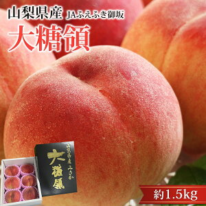 �y�G���g���[��P10�{�z�� �哜�� ��1.5kg 5�`6�� �R�����Y ���� ���� �����Ƃ���傤 ������ �t���[�c �ʕ� �M�t�g ���� �v���[���g ���j�� �o�Y�j�� �Y���v���~�A��