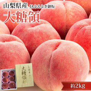 �y�G���g���[��P10�{�z�� �哜�� ��2kg 5�`8�� �R�����Y ���� ���� �����Ƃ���傤 ������ �t���[�c �ʕ� �M�t�g ���� �v���[���g ���j�� �o�Y�j�� �Y���v���~�A��