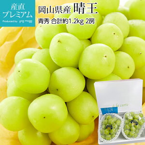 yGg?Ń|Cg10{z Ԃǂ VC}XJbg  G 1.2kg 2[ RY }XJbg  uhE  t[c ʕ  Mtg v[g j oYj Yv