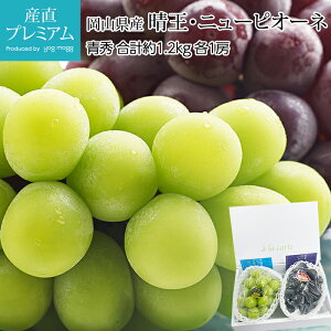 ぶどう シャインマスカット 晴王 ニューピオーネ 青秀 約1.2kg 2房 セット 岡山県産 マスカット にゅーぴおーね ピオーネ セット 葡萄 ブドウ お取り寄せ フルーツ 果物 贈答 ギフト プレゼン
