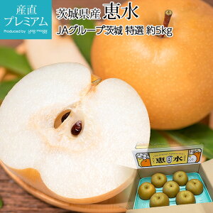  b I 5kg 8`12 錧Y Ȃ iV  PCXC  t[c ʕ Mtg  v[g j oYj Yv~A