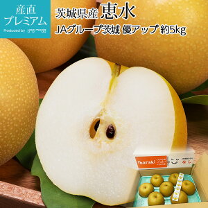  b DAbv 5kg 8`12 錧Y Ȃ iV  PCXC  t[c ʕ Mtg  v[g j oYj Yv~A