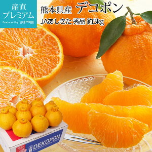 yGg?Ń|Cg10{z ݂ fR| Gi 3kg 7`10 nEX͔| F{Y  ~J k łۂ  t[c ʕ Mtg  v[g j TCY ̂ Y