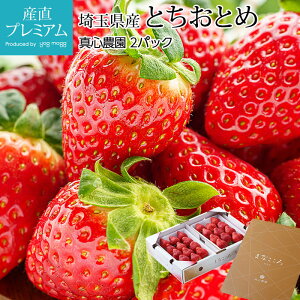 いちご とちおとめ 2パック 埼玉県産 産地直送 イチゴ 苺 栃乙女 トチオトメ まなこころ マナココロ ストロベリー お取り寄せ フルーツ 果物 ギフト 贈答 プレゼント 内祝い 産直プレミアム