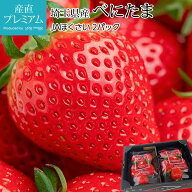 いちご べにたま 2パック 埼玉県産 イチゴ 苺 ベニタマ ストロベリー お取り寄せ フルーツ 果物 ギフト …