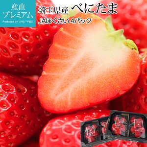 yGg?Ń|Cg10{z  ׂɂ 4pbN ʌY C`S  xj^} Xgx[  t[c ʕ Mtg  v[g j ̂ Yv~A