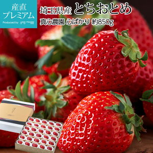 いちご とちおとめ 心ばかり 約850g 30〜36粒 埼玉県産 産地直送 イチゴ 苺 栃乙女 トチオトメ こころばかり ココロバカリ ストロベリー お取り寄せ フルーツ 果物 ギフト 贈答 プレゼント 内祝