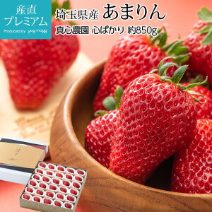  ܂ S΂ 850g 30`36 ʌY Yn C`S  A} ΂ RRoJ Xgx[  t[c ʕ Mtg  v[g j Yv