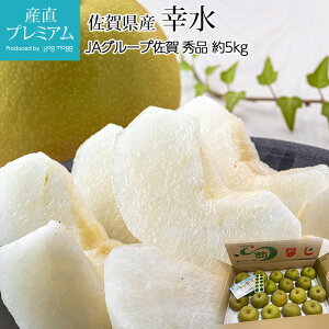 �� �K�� �G�i ��5kg 12�`18�� ���ꌧ�Y �Ȃ� �i�V ������ �t���[�c �ʕ� �M�t�g ���� �v���[���g ���j�� �o�Y�j�� ������ �Y���v���~�A��