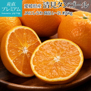 �y�労�ӍՌ���G���g���[��P10�{���ő�300�~OFF�N�[�|���z �����^���S�[�� �Ǖi ��5kg L�`2L�T�C�Y 18�`25�� ���Q���Y �Y�n���� �݂��� �~�J�� ���� ���k �^���S�[�� ������ �t���[�c �ʕ� 