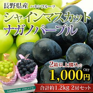 【エントリ—＆条件達成でP最大10倍】【2箱以上ご購入で1,000円OFF】ぶどう シャインマスカット ナガノパ…