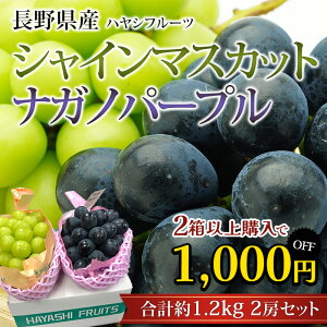 【食いしんぼう祭※300円OFFクーポン】【2箱以上ご購入で1,000円OFF】ぶどう シャインマスカット ナガノパープ