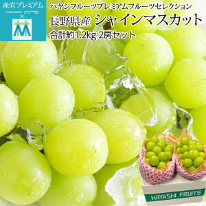 yGg?Ń|Cg10{z Ԃǂ VC}XJbg 1.2kg 2[ aJnVt[c 쌧Y uhE  VC  ʕ Mtg  v[g j Yv~A