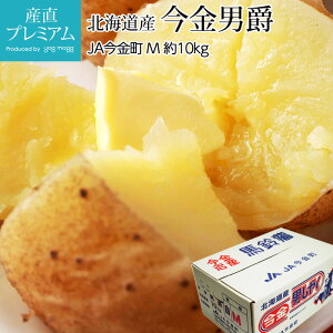 Ⴊ j 10kg MTCY 120 kCY j݂ ܂˒j j 񂵂Ⴍ WKC |eg   Mtg  v[g Yv~A