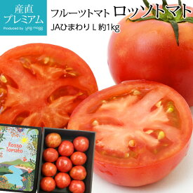 フルーツトマト 高糖度 ロッソトマト 約1kg Lサイズ 7～13個 愛知県産【高級 トマト とまと 野菜 フルーツ お取り寄せ ギフト 贈答 プレゼント 内祝い】【産直プレミアム】