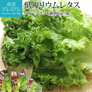 レタスの人気商品 通販 価格比較 価格 Com