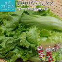 【エントリーでP10倍】レタス クリーンベジの低カリウムレタス 3袋 れたす 低カリウムれたす 低カリウム 葉菜類 お取…