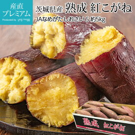 楽天市場 さつまいも なめがたの通販 楽天市場 さつまいも なめがたの通販