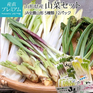 山菜 にんにくの人気商品 通販 価格比較 価格 Com