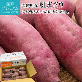 【マラソン限定最大P29倍】 さつまいも 紅まさり 約5kg 丸2Lサイズ 7～10本前後 茨城県産【サツマイモ べにまさり ベニマサリ ポテト お取り寄せ 野菜 ギフト 贈答 プレゼント】【産直プレミアム】