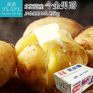 Ⴊ j 5kg M/LTCY 45 kCY j݂ ܂˒j j 񂵂Ⴍ WKC |eg   Mtg  v[g Yv~A