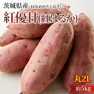 【エントリ—＆条件達成でP最大10倍】さつまいも 紅優甘 紅はるか 約5kg 丸2Lサイズ 7〜10本前後 茨城県…