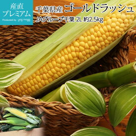 【スーパーセール限定最大P28倍】 とうもろこし ゴールドラッシュ 約2.5kg 2Lサイズ 6～7本 千葉県産【コーン トウモロコシ ごーるどらっしゅ お取り寄せ ベジタブル 野菜 ギフト 贈答 プレゼント 内祝い 出産祝い】【産直プレミアム】