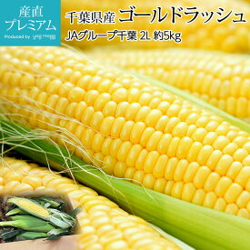 【スーパーセール限定最大P28倍】 とうもろこし ゴールドラッシュ 約5kg 2Lサイズ 13本 千葉県産【コーン トウモロコシ ごーるどらっしゅ お取り寄せ ベジタブル 野菜 ギフト 贈答 プレゼント 内祝い 出産祝い】【産直プレミアム】