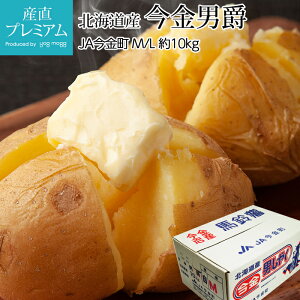 y10/4 20:00`P2{z Ⴊ j 10kg M/LTCY 90 kCY j݂ ܂˒j j 񂵂Ⴍ WKC |eg   Mtg  v[g Yv~A