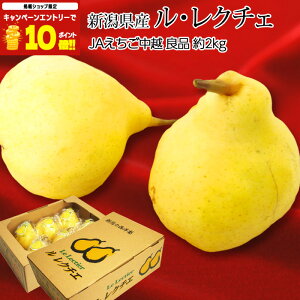 yGg?Ń|Cg10{z m N`F Ǖi 2kg 5`8 VY Yn EN`F miV mȂ  t[c ʕ Mtg ƒp v[g j Yv~A