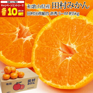 yGg?Ń|Cg10{z ݂ c݂ ԏG 5kg S`MTCY 50`60 a̎RY Yn  ~J Lc݂  t[c ʕ Mtg  v[g j TC