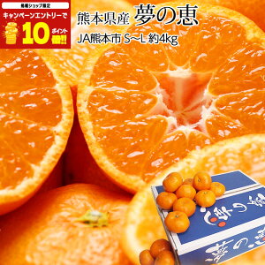 yGg?Ń|Cg10{z ݂ ̌b F{ 4kg S`LTCY v~A݂ ݂ F{Y  ~J  x12xȏ  t[c ʕ Mtg  v[